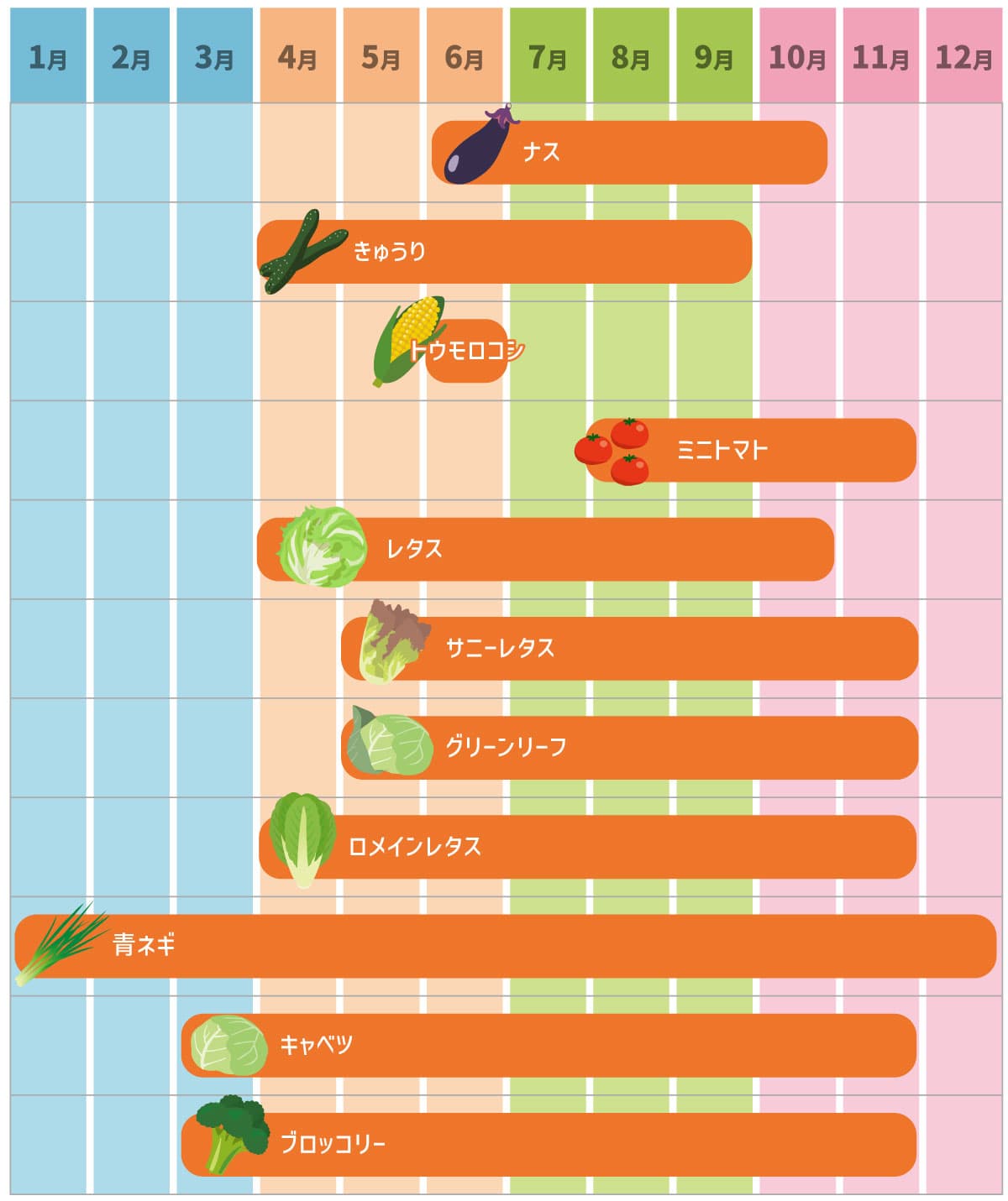 野菜の年間カレンダー